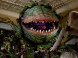Little Shop of Horrors 1986 M