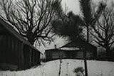 Moscow Elegy 1987 Ages 18+