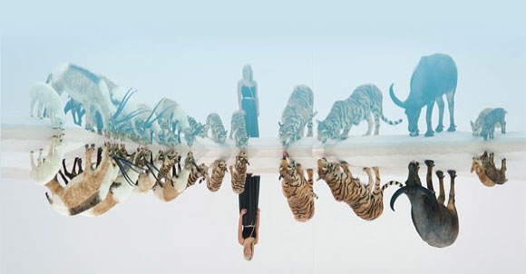 Cai Guo-Qiang / Installation view of Heritage 2013 / Commissioned for ‘Cai Guo-Qiang: Falling Back to Earth’ / Purchased 2013 with funds from Josephine Ulrick and Win Schubert Diversity Foundation through and with the assistance of the Queensland Art Gallery | Gallery of Modern Art Foundation / Collection: Queensland Art Gallery