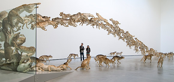 Cai Guo-Qiang | Head On 2006 | 99 life-sized replicas of wolves and glass wall. Wolves: gauze, resin, and painted hide | Dimensions variable | Deutsche Bank Collection, commissioned by Deutsche Bank AG | ©FMGBGuggenheim Bilbao Museoa, 2009 | Photo: Erika Barahona-Ede