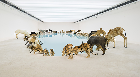 Cai Guo-Qiang | China b.1957 | Heritage 2013 | 99 life-sized replicas of animals, water, sand, drip mechanism | Installed dimensions variable | Commissioned for the exhibition 'Falling Back to Earth', 2013 | Proposed for the Queensland Art Gallery Collection with funds from the Josephine Ulrick and Win Schubert Diversity Foundation through and with the assistance of the Queensland Art Gallery | Gallery of Modern Art Foundation | Photograph: Natasha Harth, QAGOMA